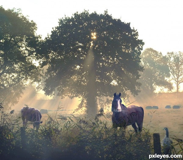 Creation of Misty Morning: Final Result